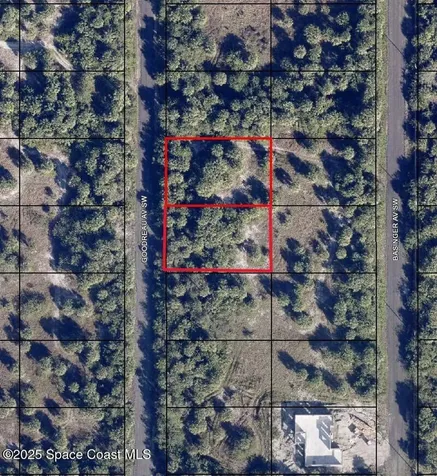 1991 1999 Goodreau (2 Lots) Avenue SW Palm Bay FL 32908