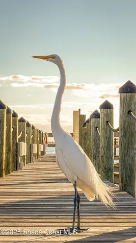 5701 Sea Lavender Place Melbourne Beach FL 32951