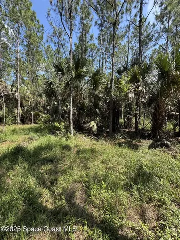 4300 Justa Road Mims FL 32754