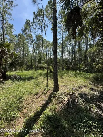 4300 Justa Road Mims FL 32754