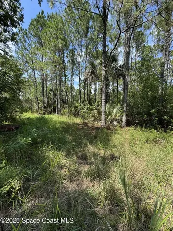 4300 Justa Road Mims FL 32754