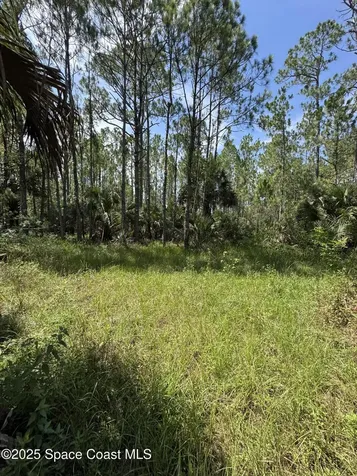 4300 Justa Road Mims FL 32754