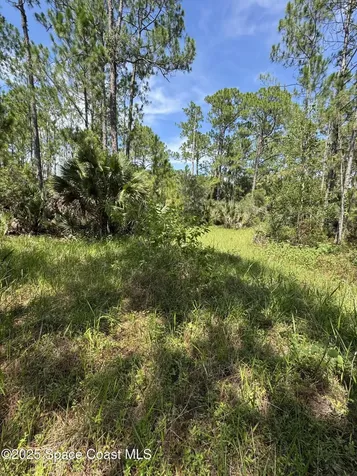 4300 Justa Road Mims FL 32754