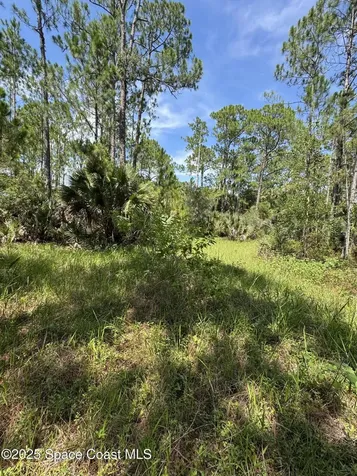 4300 Justa Road Mims FL 32754