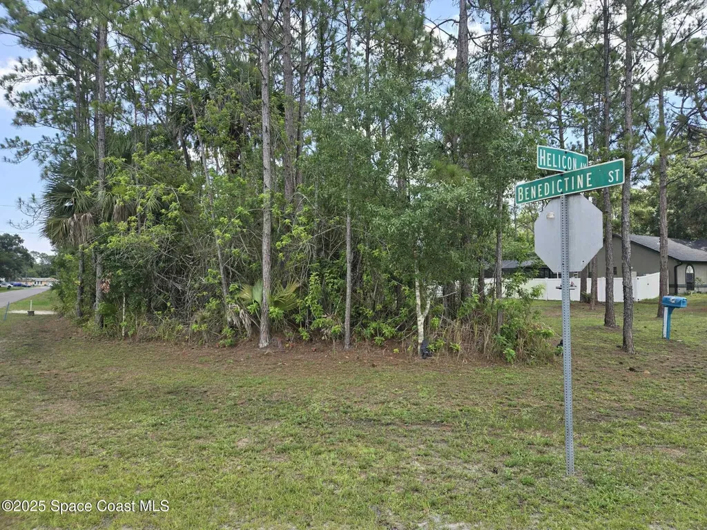 491 Helicon Avenue NW Palm Bay FL 32907