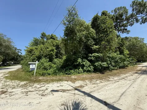 0 Unknown Mims FL 32754