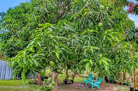 1637 Kanabec Avenue NW Palm Bay FL 32907