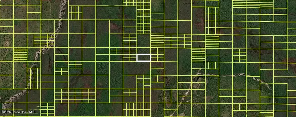14110020 Holopaw Groves Road St. Cloud FL 34773