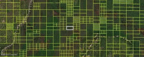 14110020 Holopaw Groves Road St. Cloud FL 34773