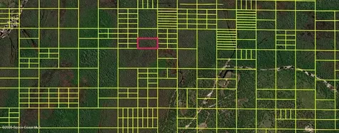 14110020 Holopaw Groves Road St. Cloud FL 34773