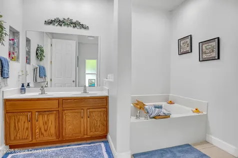 1007 Lamplighter Drive NW Palm Bay FL 32907