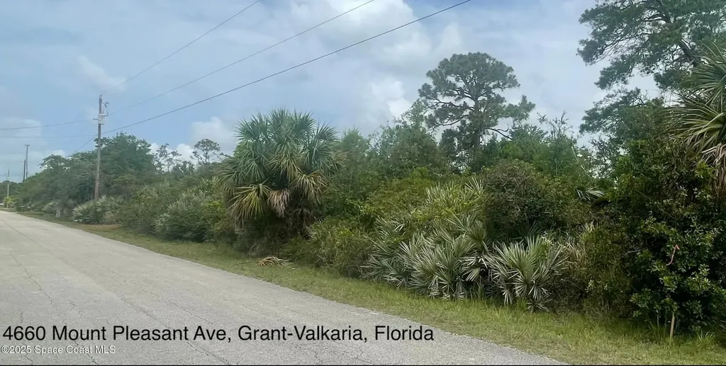 4660 Mount Pleasant Avenue Grant-valkaria FL 32949