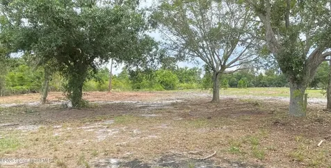 4660 Mount Pleasant Avenue Grant-valkaria FL 32949