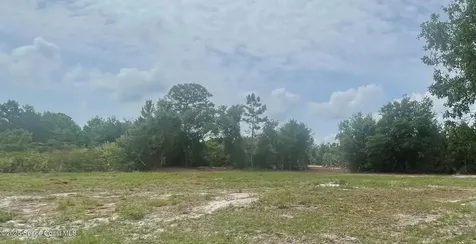 4660 Mount Pleasant Avenue Grant-valkaria FL 32949