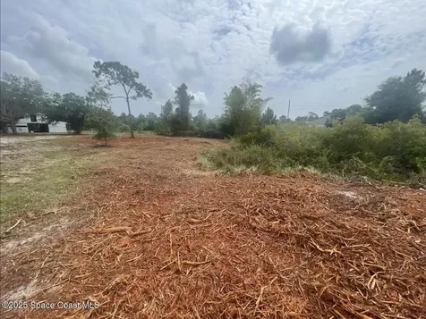 4660 Mount Pleasant Avenue Grant-valkaria FL 32949