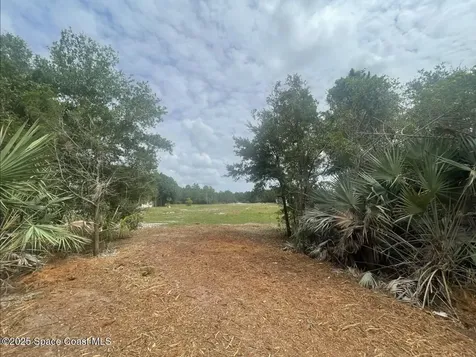 4660 Mount Pleasant Avenue Grant-valkaria FL 32949