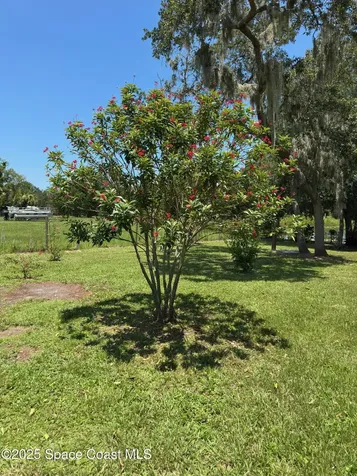 3931 Highway 1 Mims FL 32754