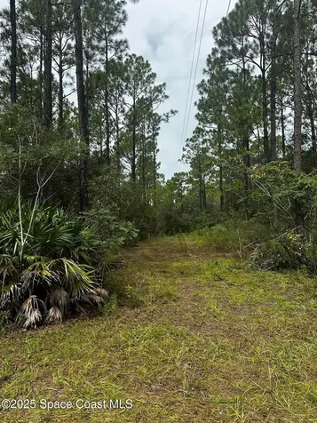 0000 SW 175th Lot #12 Court Dunnellon FL 34432