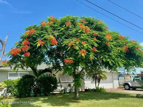 470 Bimini Lane Indian Harbour Beach FL 32937