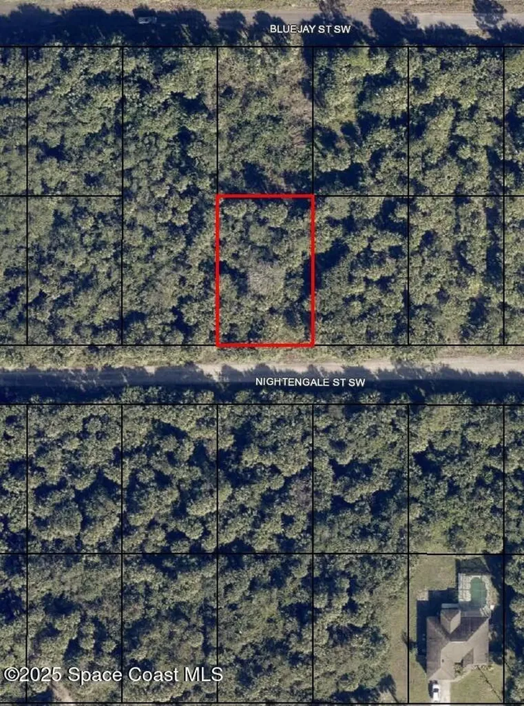 847 Nightengale Street SW Palm Bay FL 32908