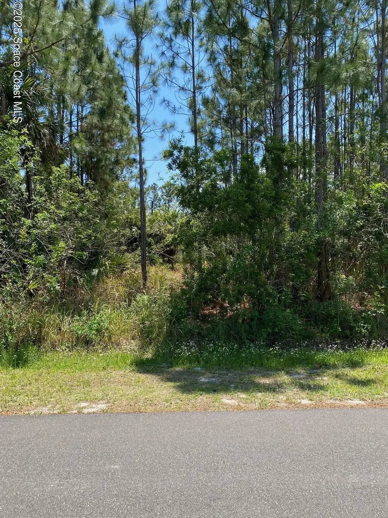 362 Frazer Street SW Palm Bay FL 32908