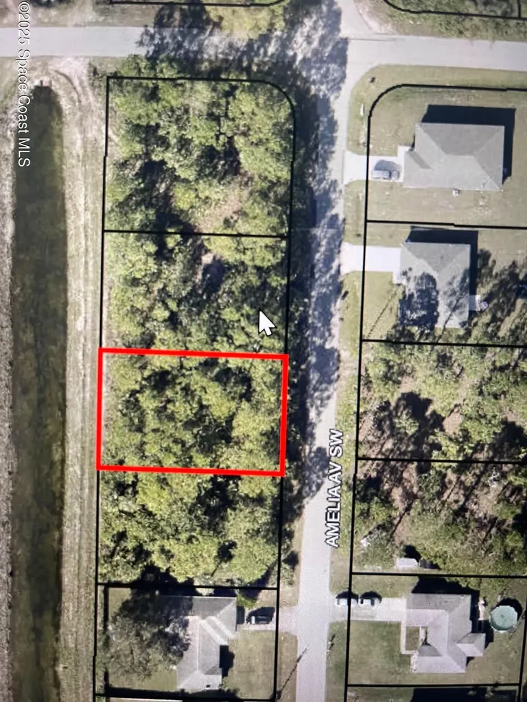 1322 Amelia Avenue SW Palm Bay FL 32908
