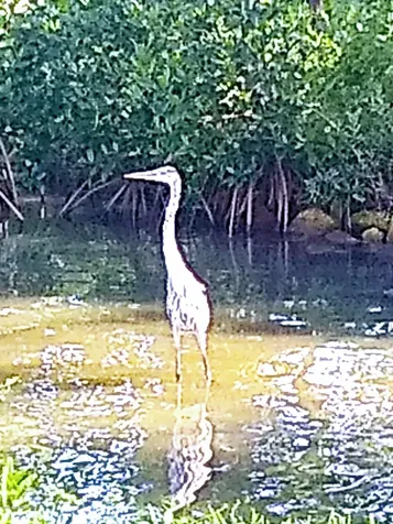 200 S Banana River Boulevard Cocoa Beach FL 32931