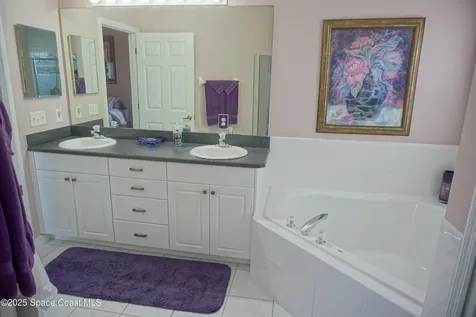 725 Morning Cove Circle SE Palm Bay FL 32909