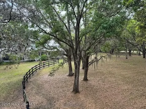 4436 Bouganvilla Drive Mims FL 32754