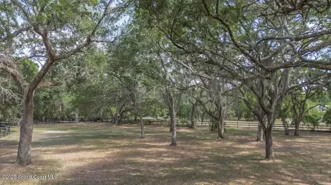 4436 Bouganvilla Drive Mims FL 32754