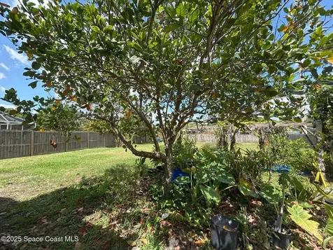 1242 Auburn Avenue NW Palm Bay FL 32907