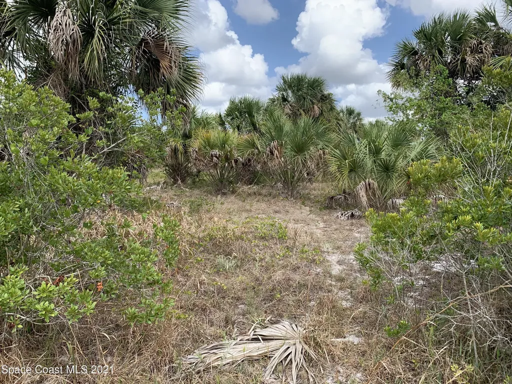 2457 Bolton Avenue SW Palm Bay FL 32908