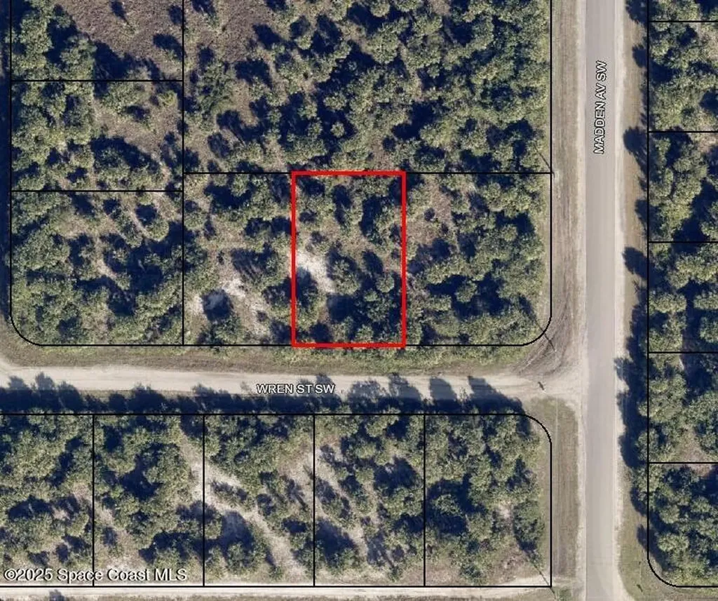 815 Wren Street SW Palm Bay FL 32908