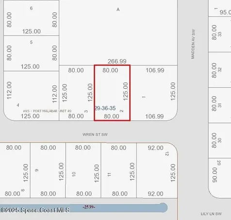 815 Wren Street SW Palm Bay FL 32908