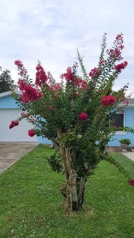 2900 Redwood Avenue Titusville FL 32780