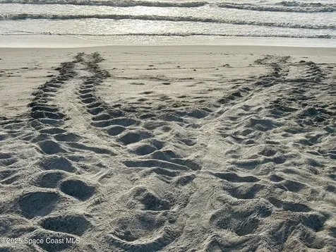 2815 S Atlantic Avenue Cocoa Beach FL 32931