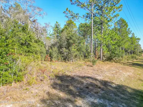 None W Parcel Number19988-001-13 W Ocala FL 34482
