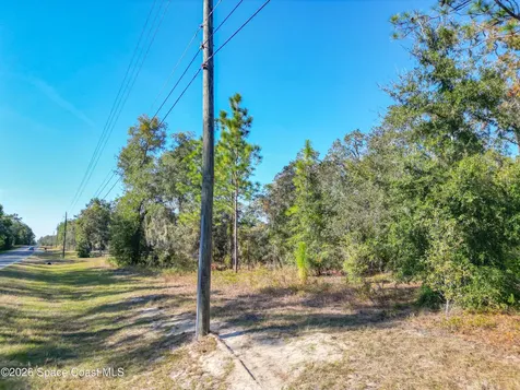 None W Parcel Number19988-001-13 W Ocala FL 34482