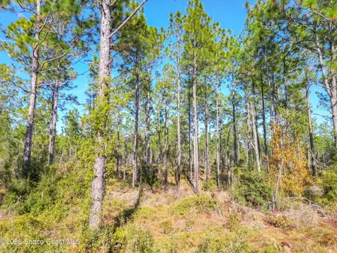 None W Parcel Number19988-001-13 W Ocala FL 34482
