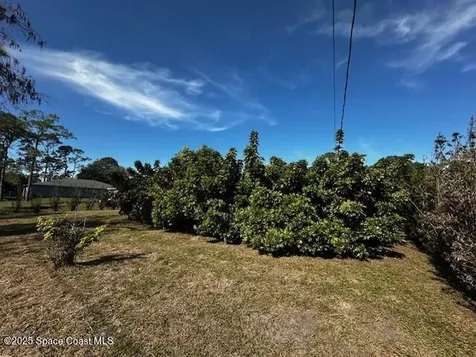 1238 Alcazar Street SE Palm Bay FL 32909