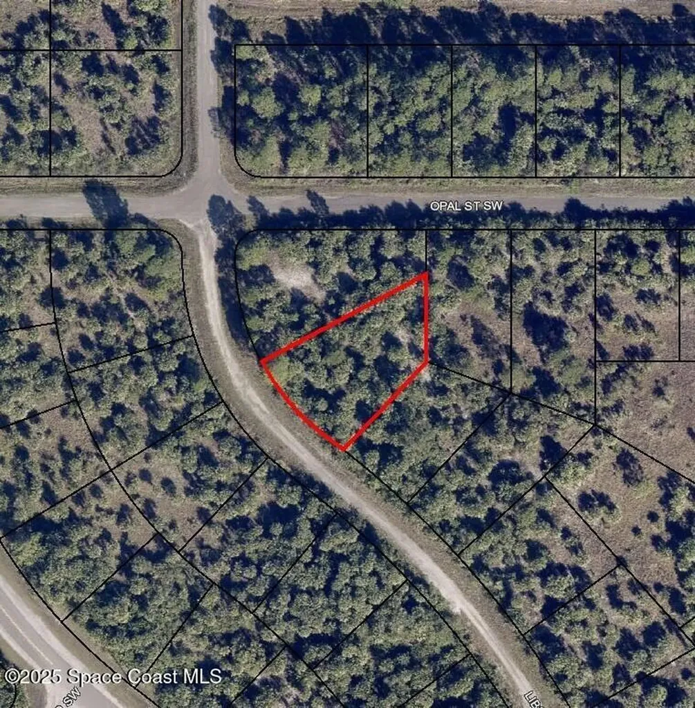 3041 Libby Avenue SW Palm Bay FL 32908