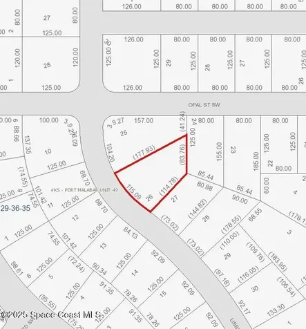 3041 Libby Avenue SW Palm Bay FL 32908