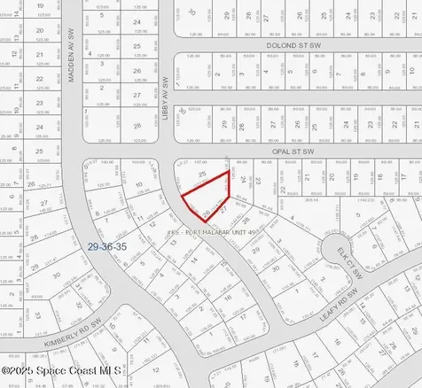3041 Libby Avenue SW Palm Bay FL 32908