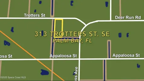 313 Trotters Street Palm Bay FL 32909