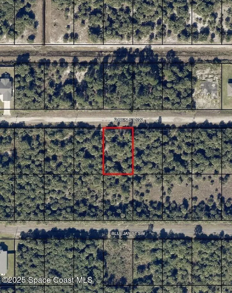 846 Robin Street SW Palm Bay FL 32908