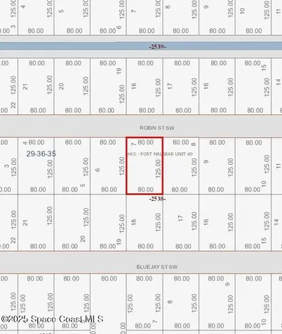 846 Robin Street SW Palm Bay FL 32908
