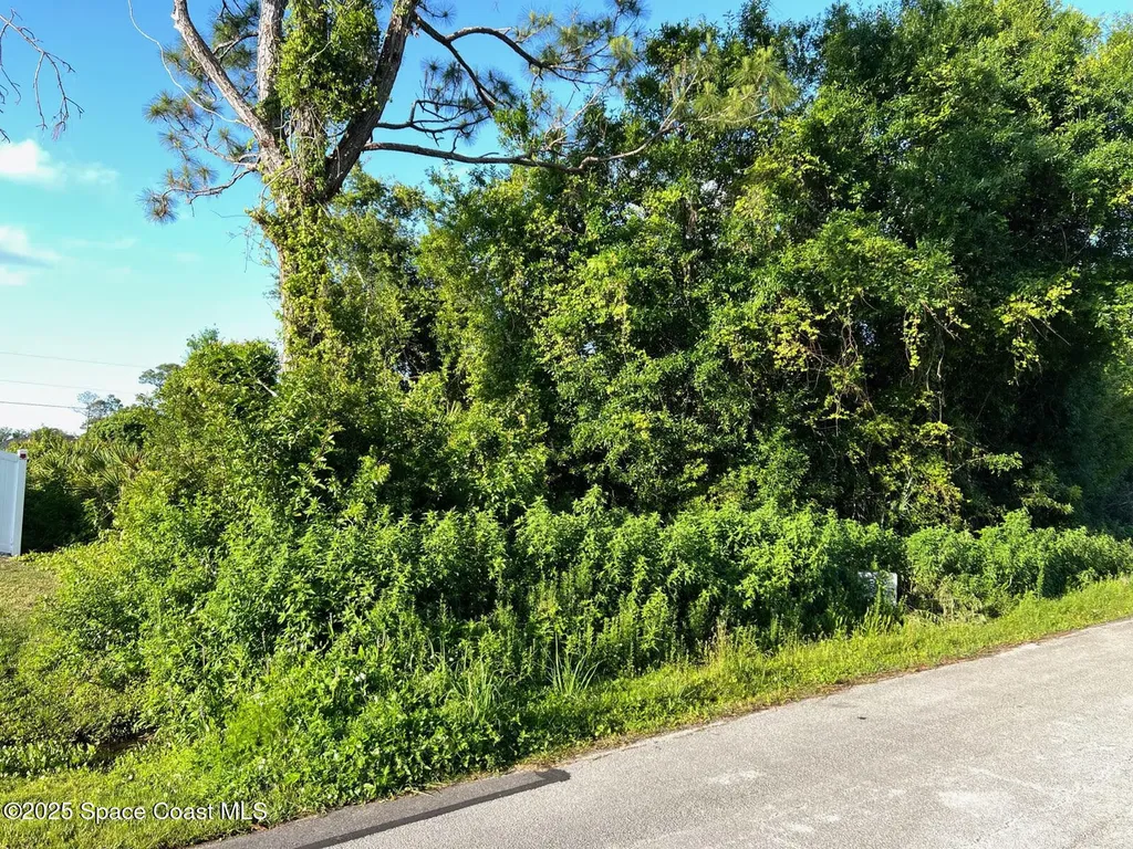 1428 Talavera Street SE Palm Bay FL 32909