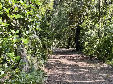 0 Carter Road Mims FL 32754