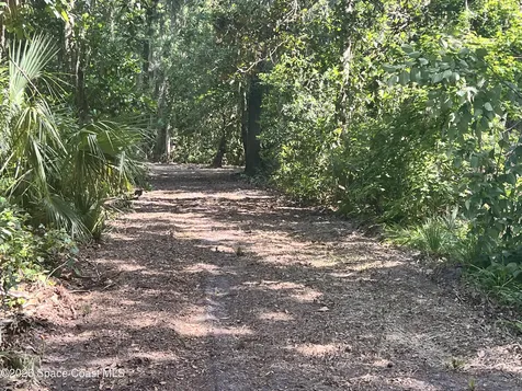 0 Carter Road Mims FL 32754