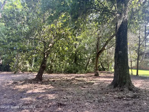 0 Carter Road Mims FL 32754